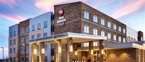 Best Western Pet Policy & Pet Friendly Locations.